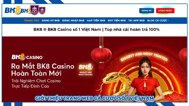 Đánh Giá Bk8 Nhà Cái Chi Tiết Và Kinh Nghiệm Cá Cược Trực Tuyến